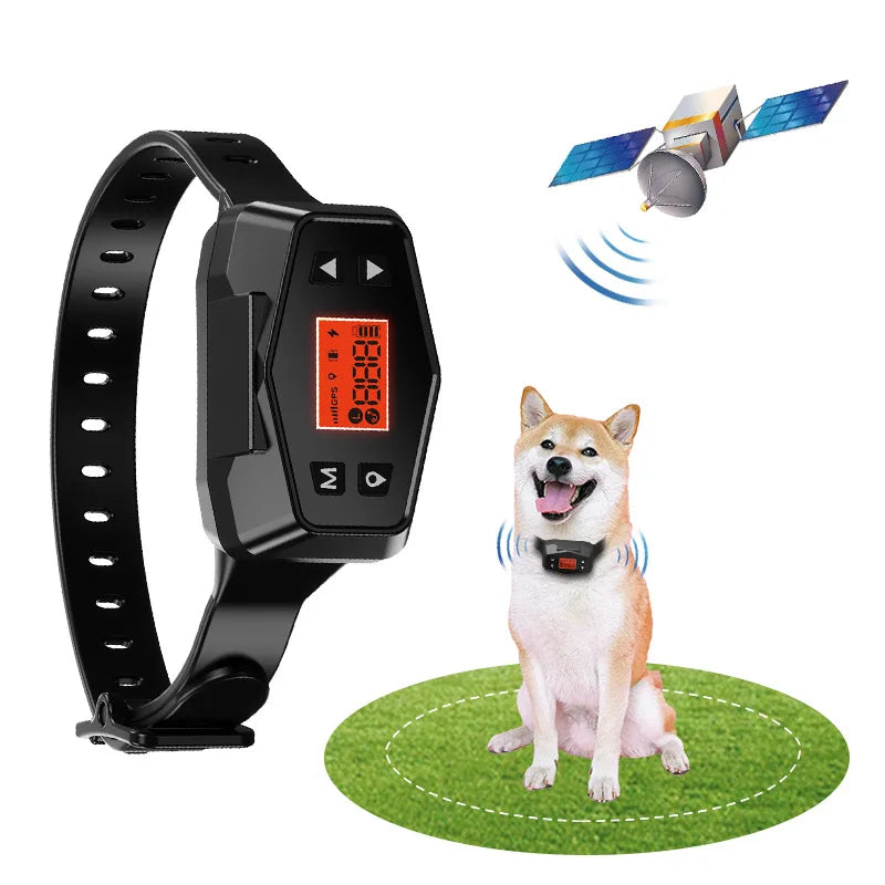 The AllPetPing GPS Tracker fits snugly on any collar—perfect for medium active dogs!